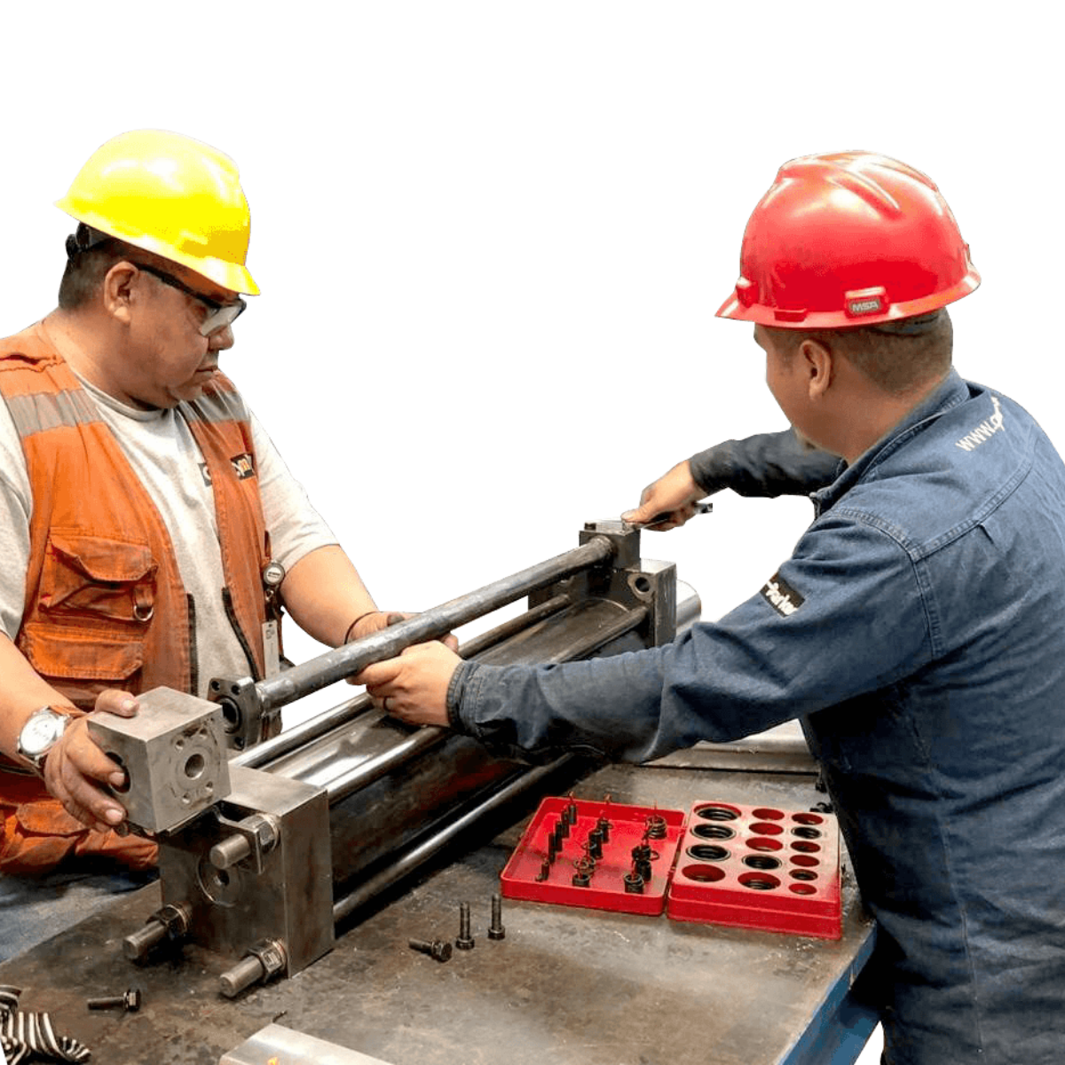 SERVICIOS